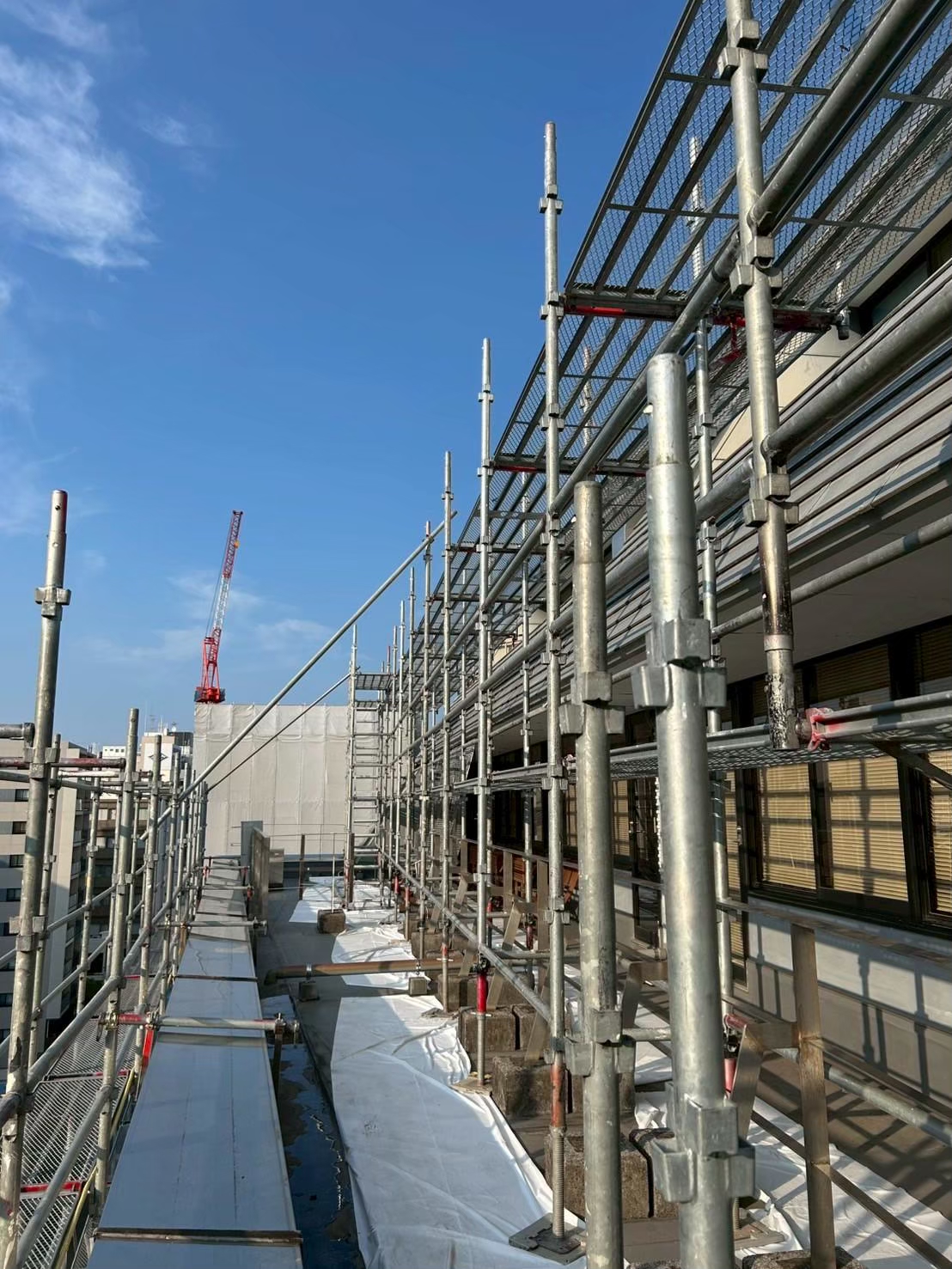 line_album_%e5%a4%a7%e8%a6%8f%e6%a8%a1%e2%91%a4_251125_3