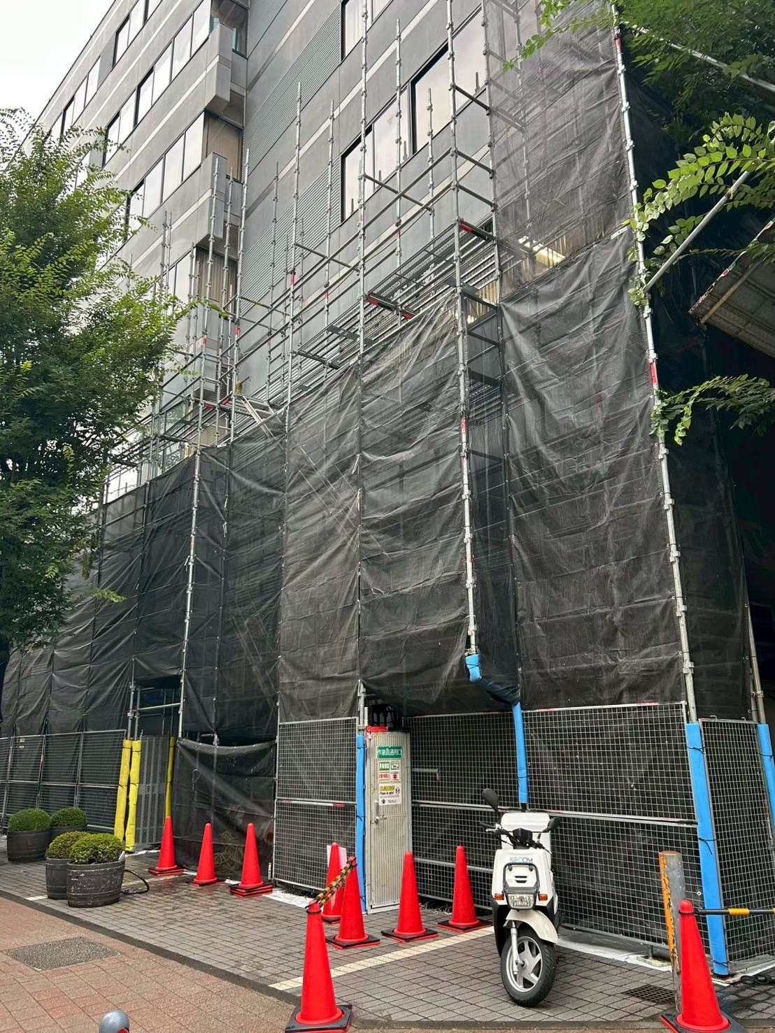 line_album_%e5%a4%a7%e8%a6%8f%e6%a8%a1%e2%91%a4_251125_8