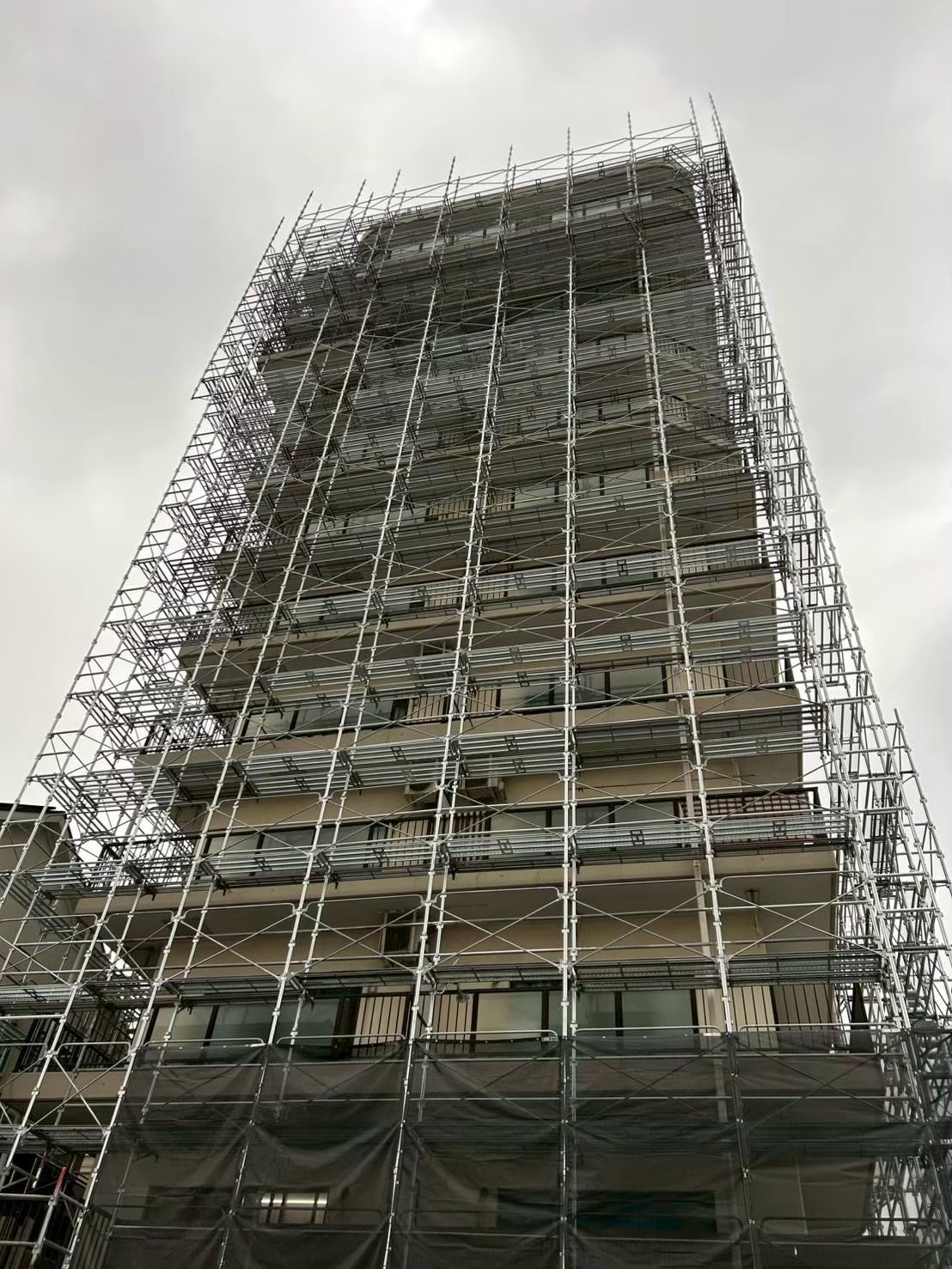 line_album_%e5%a4%a7%e8%a6%8f%e6%a8%a1%e2%91%a6_251208_12